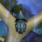 Infused Beetle