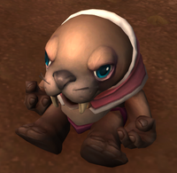 Image of Curious Lilu
