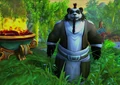 Pandaren seen during BlizzCon