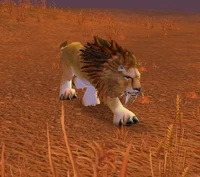 Image of Savannah Patriarch