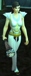 Image of Fordragon Medic