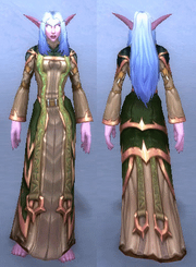 Robes of Wicked Modesty
