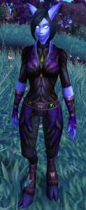 Image of Sargerei Worker