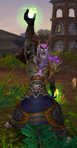 Image of Stormshield Druid