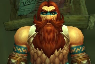 Aerin Skyhammer Wowpedia Your wiki guide to the World of Warcraft