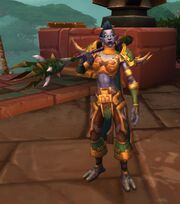 Wardruid Loti