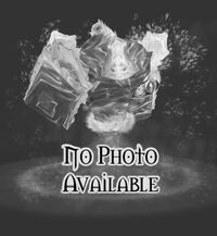 No image available