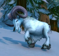 Image of Alterac Ram