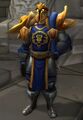 In Stormwind Keep.