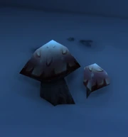 Cave Mushroom