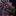 IconSmall Iskar.gif