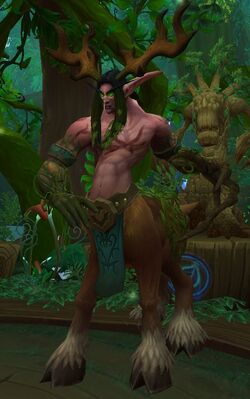 Keeper Of The Grove Wowpedia Your Wiki Guide To The World Of Warcraft Keeper Of The Grove Wowpedia Your Wiki Guide To The World Of Warcraft