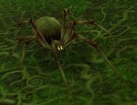 Image of Spawn of Mar'li