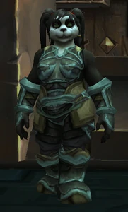 Image of Tiger Temple Monk