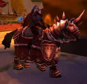 Champion Vranesh riding his horse.