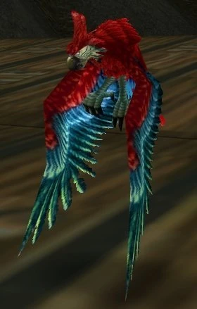 Green Wing Macaw