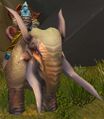 A Shattrath City Peacekeeper riding en elekk.