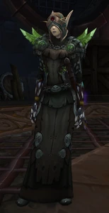Image of Shinfel Blightsworn