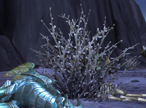 Icevine.jpg
