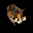 Pig.gif