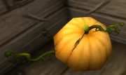 Rotten Pumpkin