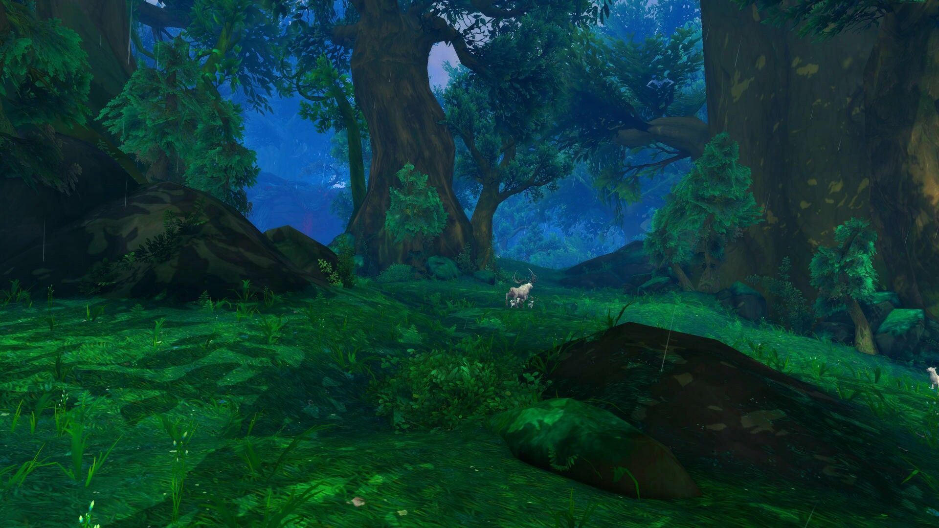 Wildwood forest.jpg