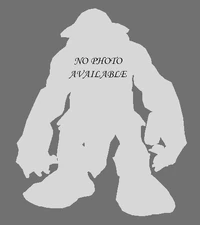 No image available