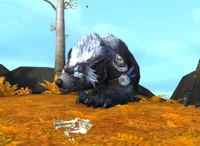 Image of Mordvigbjorn