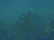 The Vile Reef