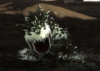 Image of Fragment of Pride