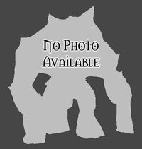 No image available