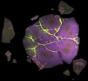  minimap in The Highlord's Return.