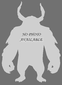 No image available