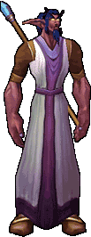 WoW Town Hall Priest-character.gif