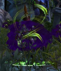 Image of Cragtalon Hag