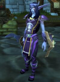Image of Darnassian Huntress