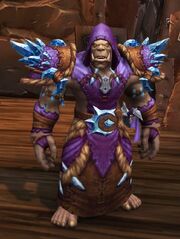 Mag'har Darkcaster Male