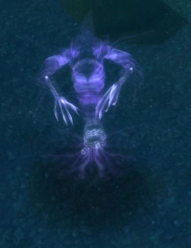 Wrath Phantom
