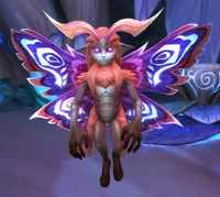 Image of Droman Dawnblossom