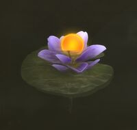 Image of Hypnotic Water Lily