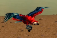 Image of Young Beaky