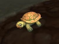 Image of Brook Turtle