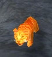 Chance the Cat