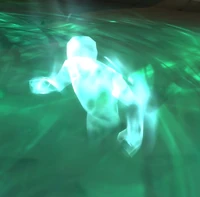 Image of Fragmented Echo