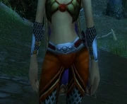 Overlord's Vambraces