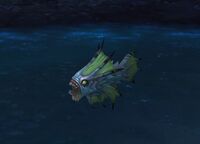 Image of Deeptide Fingerling