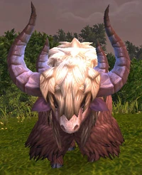 Image of Mountain Yak