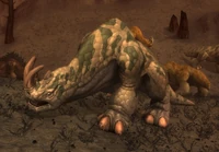 Image of Blackrock War Kodo