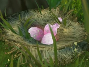 Crane Nest