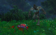 Feral Worgen fairy dragon